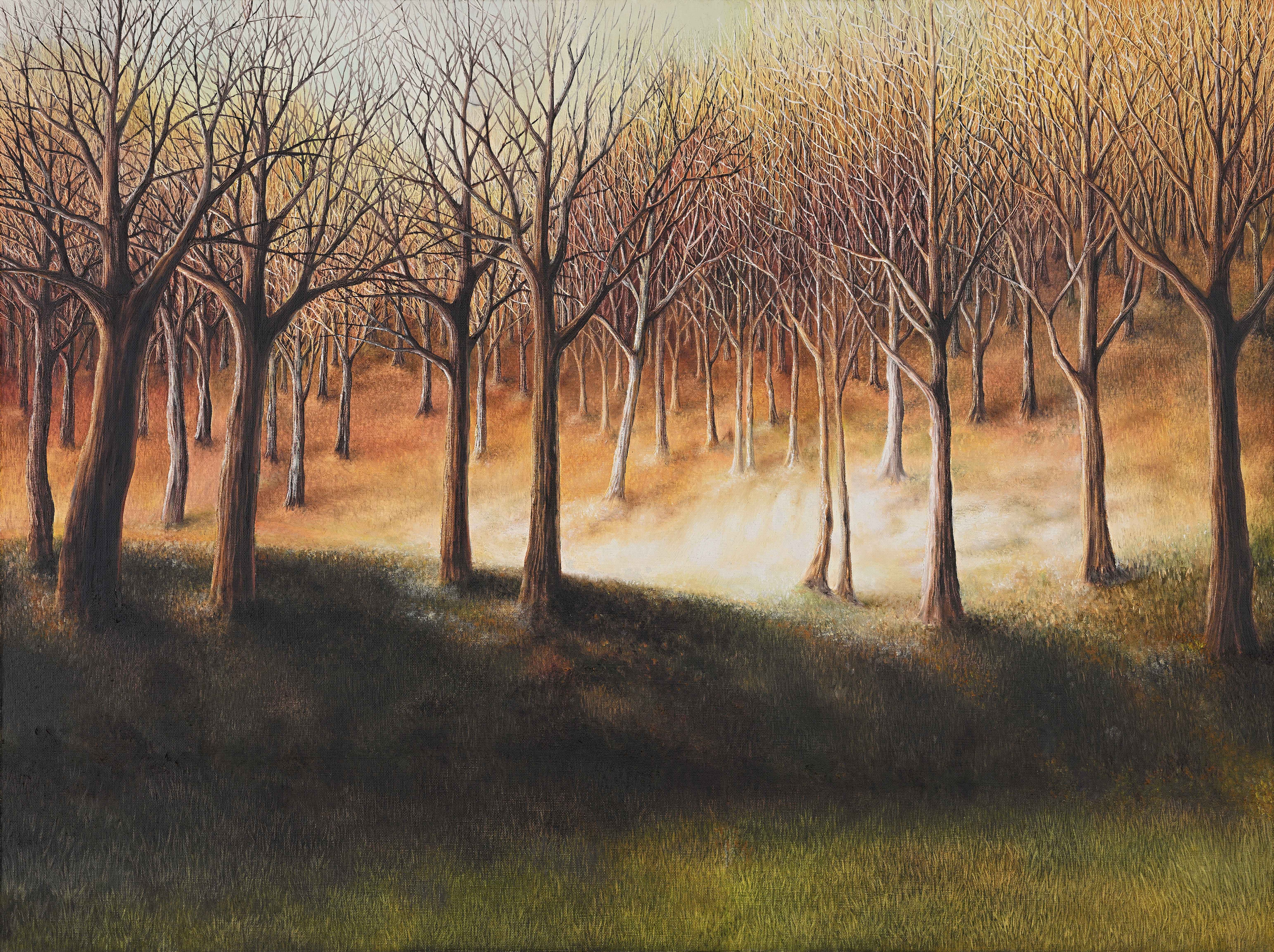 164  2024   Hráz světla