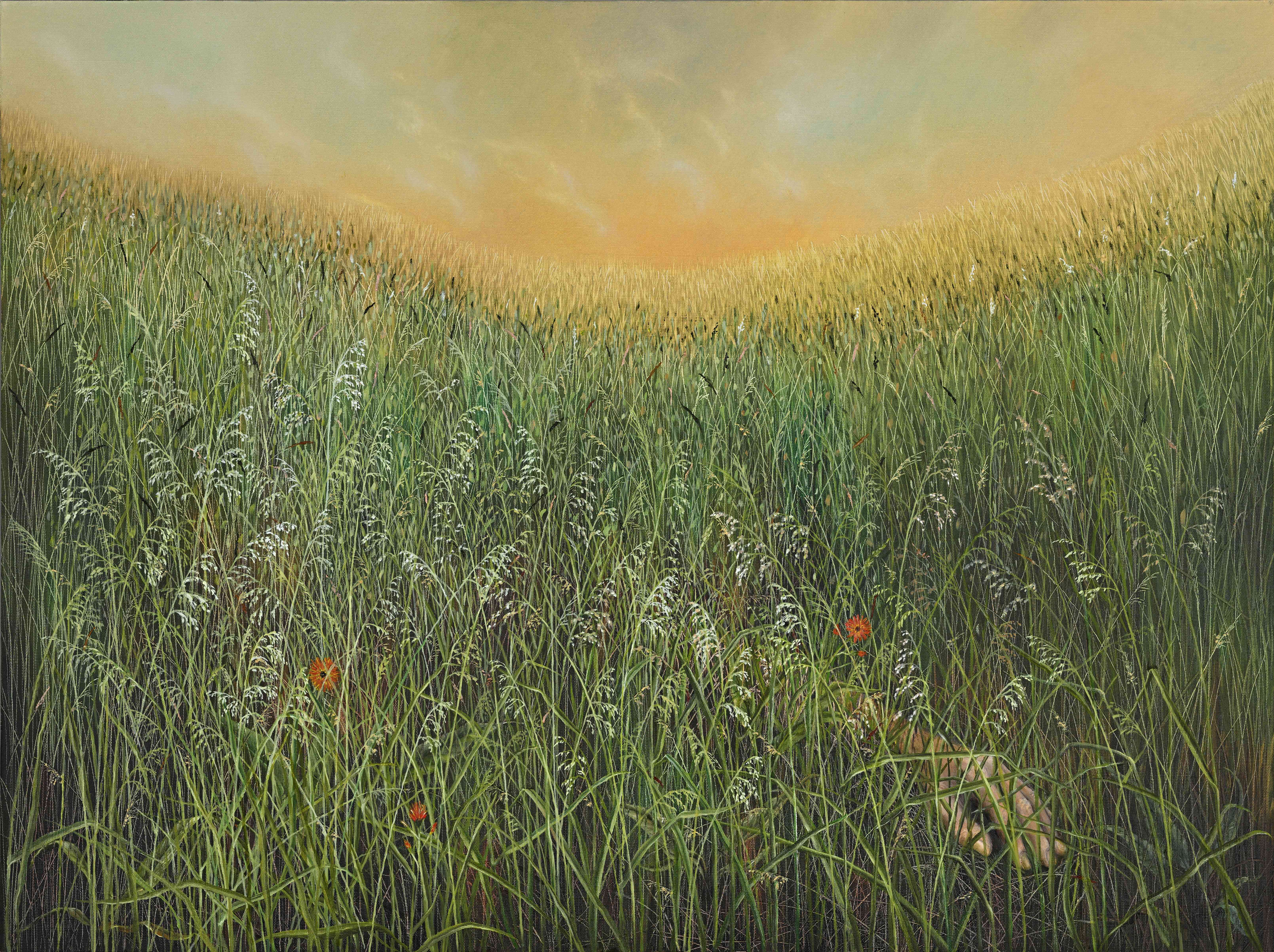 169  2025  Uprostřed